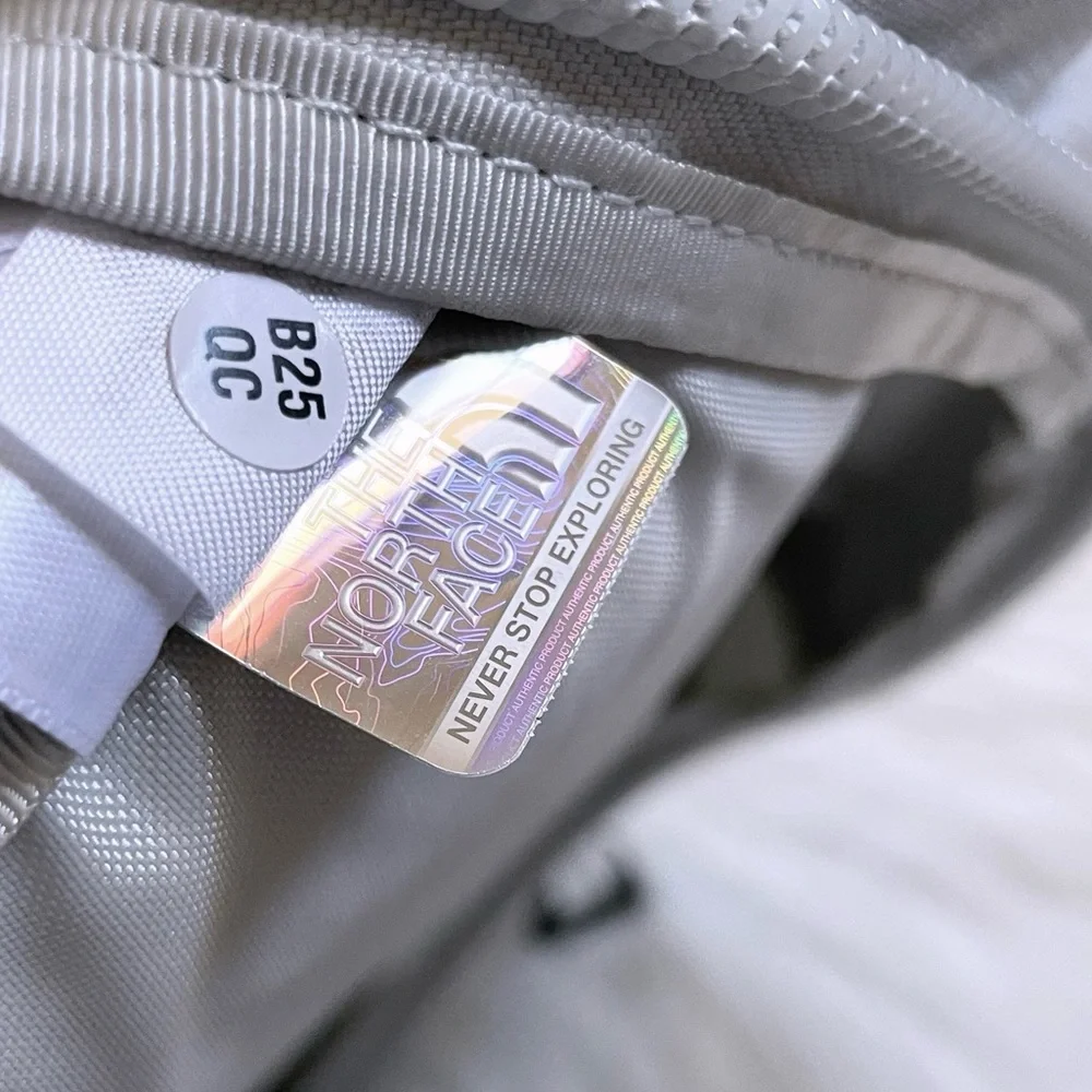 The North Face Surge 31 Liter Backpack